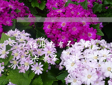 信用卡有不還的沒(méi)有怎么辦(信用卡有不還的沒(méi)有怎么辦)
