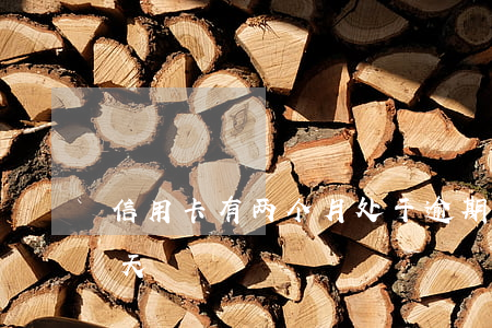 信用卡有两个月处于逾期状态(信用卡 逾期 两天)