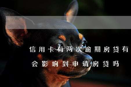 信用卡有两次逾期房贷(有两笔信用卡逾期过会影响到申请房贷吗)