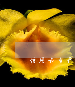 信用卡有严重逾期想贷款