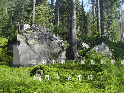 信用卡有了逾期影響征信嗎(征信逾期會影響信用卡使用嗎)