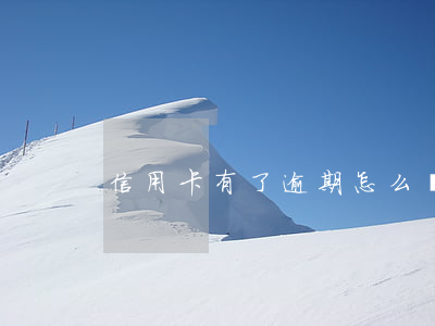 信用卡有了逾期怎么補救