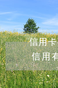 信用卡有了逾期記錄車貸好過(guò)嗎 信用有逾期記錄貸不了車