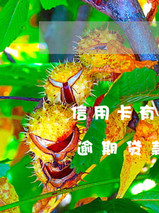 信用卡有了逾期贷款能贷下来吗(信用卡有了逾期贷款能贷下来吗安全吗)