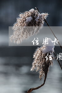 信用卡有五個(gè)逾期均未超過90天-信用卡有五個(gè)逾期均未超過90天怎么辦