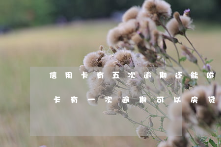 信用卡有五次逾期还能做房贷吗(五年内信用卡有一次逾期可以房贷吗)