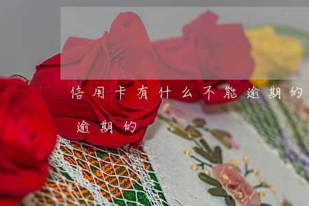 信用卡有什么不能逾期的(信用卡有什么不能逾期的)