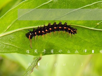 信用卡有什么法律頒布的幾年幾月-信用卡 法規(guī)