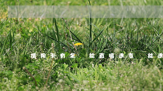 信用卡有余額能直接透支嗎(能透支的信用卡)