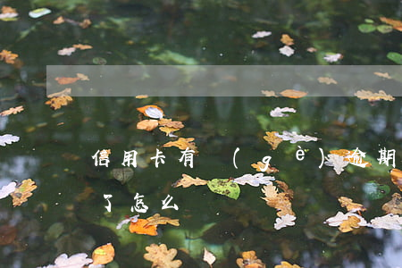 信用卡有個(gè)逾期咋辦(我信用卡逾期了怎么辦)