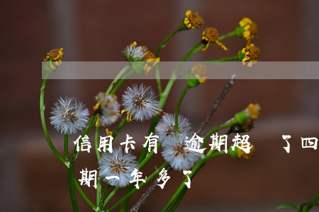 信用卡有個逾期超過了四年(信用卡4千多逾期一年多了)