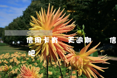 信用卡有兩天逾期記錄(信用卡逾期2天沒事吧)