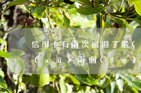 信用卡有兩次逾期了嚴(yán)重嗎(連續(xù)兩個(gè)月信用卡逾期)