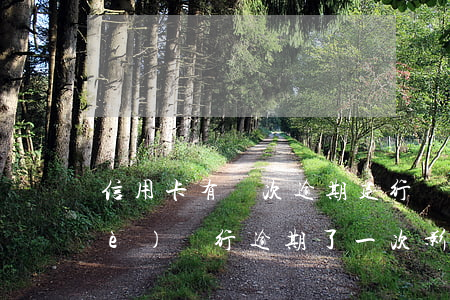 信用卡有兩次逾期建行給貸款嗎(建設(shè)銀行逾期了一次影響別的銀行貸款嗎)
