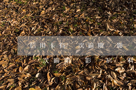 信用卡有兩次逾期會影響房貸利率(信用卡有兩次逾期會影響房貸利率嗎)