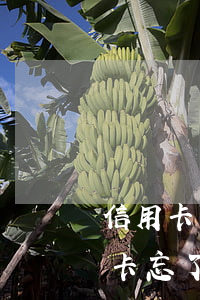 信用卡有兩次逾期記錄怎么辦-有兩次信用卡忘了逾期