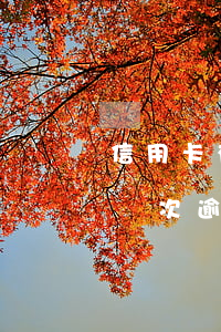 信用卡有兩次逾期記錄有什么影響(信用卡有兩次逾期記錄有什么影響沒)