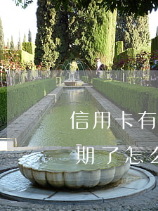 信用卡有六次逾期怎么辦(六張信用卡全部逾期了怎么辦)