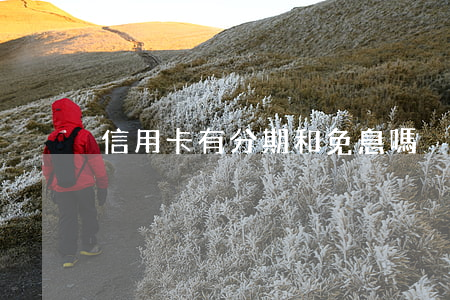 信用卡有分期和免息嗎