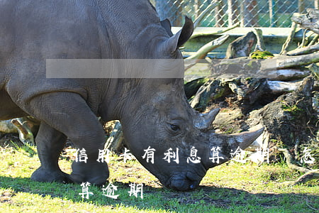 信用卡有利息算逾期嗎怎么算（信用卡有利息算逾期嗎）