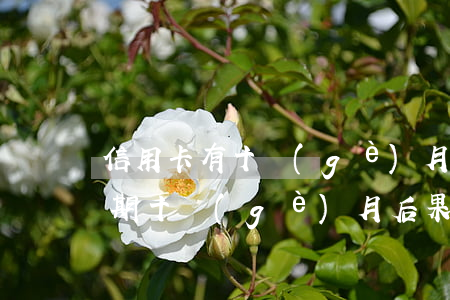 信用卡有十個(gè)月處于逾期(信用卡逾期十個(gè)月后果)