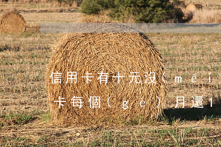 信用卡有十元沒(méi)還算逾期(欠信用卡每個(gè)月還10元會(huì)不會(huì)起訴)