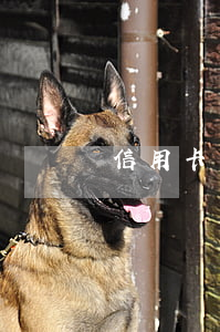 信用卡有十塊錢逾期怎么辦