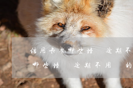 信用卡有哪些情況逾期不用還的-信用卡有哪些情況逾期不用還的錢