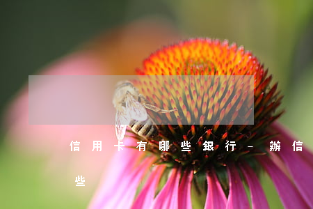 信用卡有哪些銀行-辦信用卡的銀行都有哪些