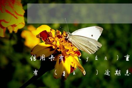 信用卡有嚴(yán)重逾期怎么辦(信用卡有過(guò)逾期怎么辦)
