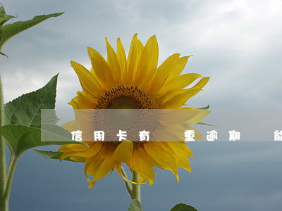 信用卡有嚴重逾期還能提額嗎(逾期了還能提額嗎)