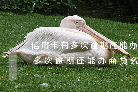 信用卡有多次逾期还能办商贷么-信用卡有多次逾期还能办商贷么吗