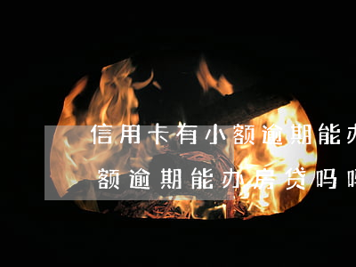 信用卡有小额逾期能办房贷吗-信用卡有小额逾期能办房贷吗吗