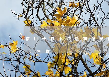 信用卡有小额逾期记录 征信有小额逾期记录会怎样