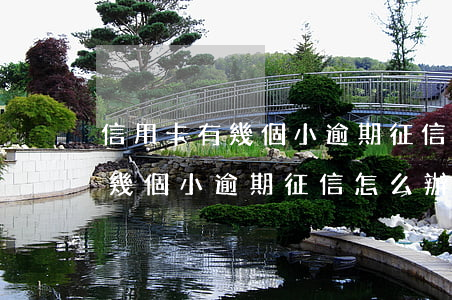 信用卡有幾個小逾期征信怎么辦-信用卡有幾個小逾期征信怎么辦啊
