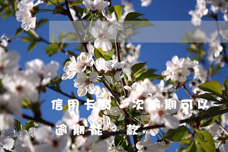信用卡有幾次逾期可以貸款嗎(有一次信用卡逾期能貸款嗎)