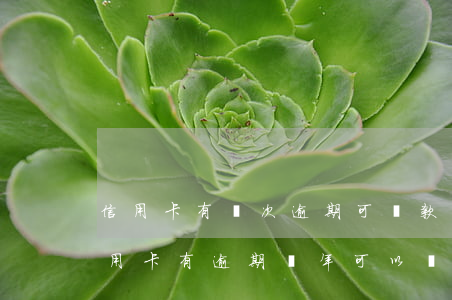 信用卡有幾次逾期可貸款嗎-2017年信用卡有逾期幾年可以貸款
