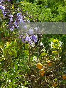 信用卡有幾次逾期的機會(信用卡有很多次逾期)
