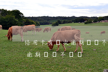 信用卡有幾次逾期記錄不給審批(辦信用卡有逾期記錄不給過)