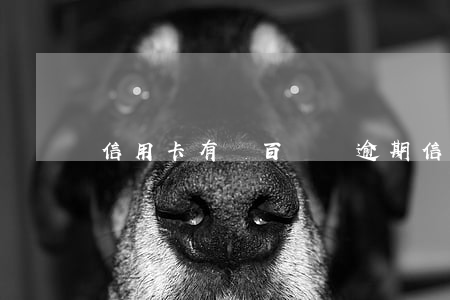 信用卡有幾百塊錢逾期(信用卡逾期幾十塊)
