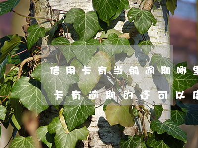 信用卡有当前逾期哪里可以借钱(有没有信用卡有逾期的还可以借到钱的软件)