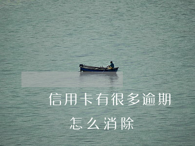 信用卡有很多逾期記錄(信用卡有很多逾期記錄怎么消除)