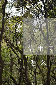 信用卡有效期過了還不還(信用卡有效期過了怎么還款)