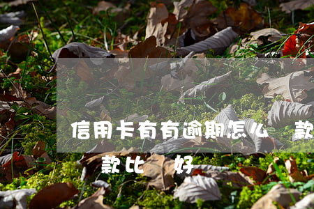 信用卡有有逾期怎么還款(信用卡逾期后怎么還款比較好)