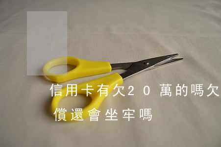 信用卡有欠20萬的嗎(欠信用卡20萬無力償還會坐牢嗎?)
