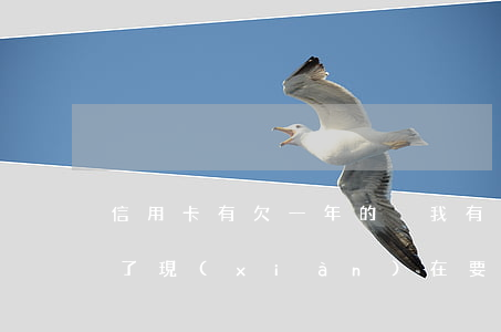 信用卡有欠一年的沒(我有一年多沒還信用卡了,現(xiàn)在要還怎么辦)