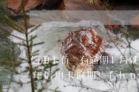 信用卡有沒有逾期1月就被起訴的(2021年信用卡逾期會(huì)被起訴嗎)