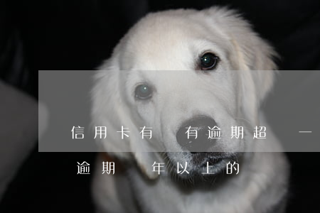 信用卡有沒有逾期超過一年的(有沒有信用卡逾期兩年以上的)