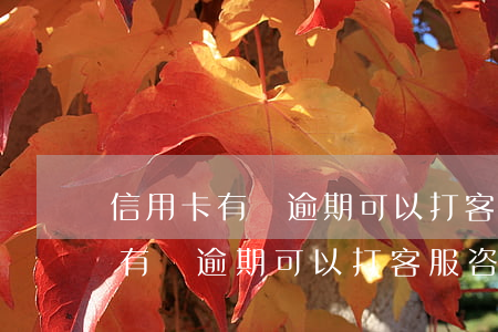 信用卡有沒逾期可以打客服咨詢嗎-信用卡有沒逾期可以打客服咨詢嗎知乎