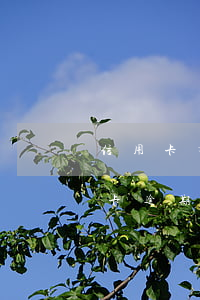 信用卡有没有逾期会影响房贷吗(之前有信用卡逾期影响房贷吗)